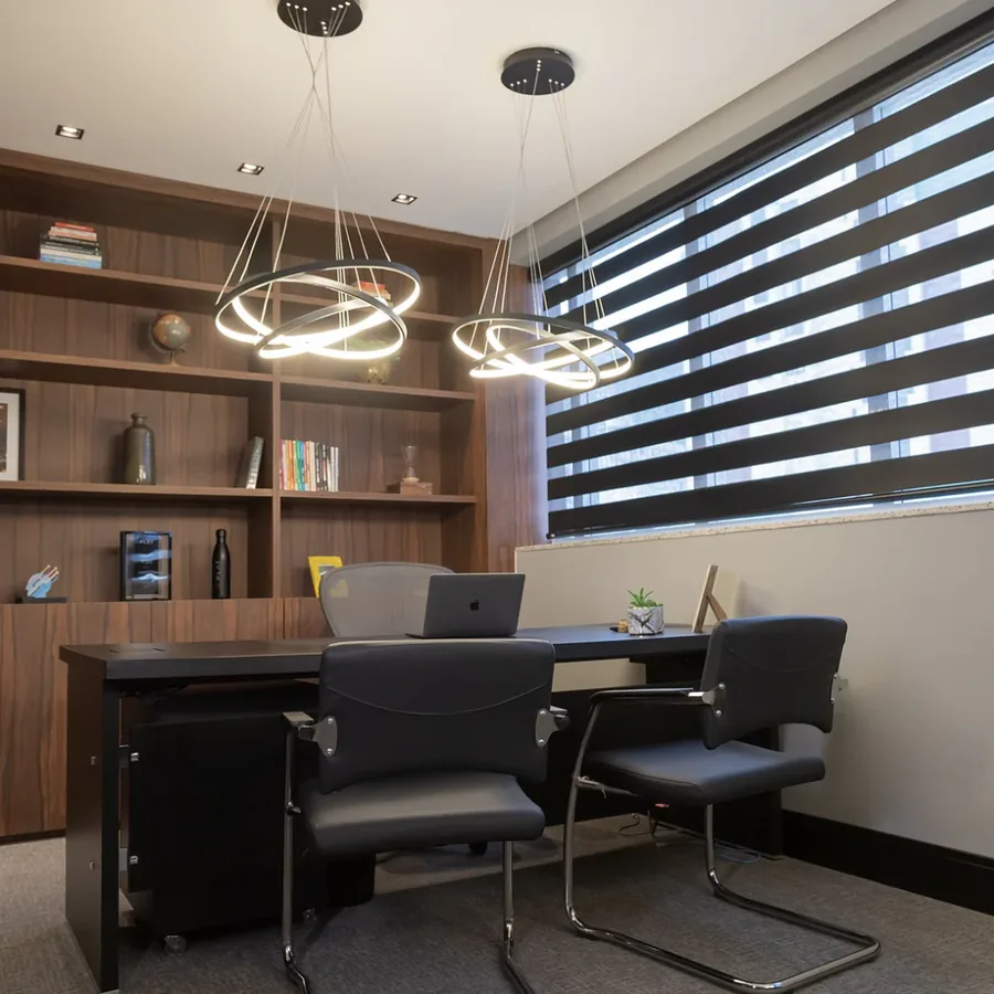 Double vision em home office